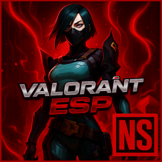 ESP + AIMBOT | Platinum Valorant